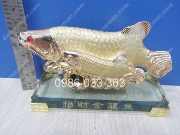 Cá Chép Đôi Xi Vàng