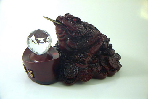 damaymna,cocbachan damaymna,cocbachan