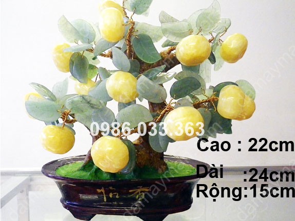 Cây Quất Ngọc Hoàng Long 22cm 