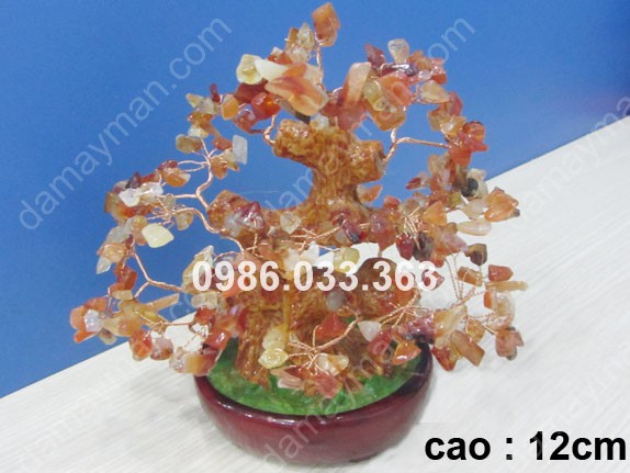 Cây Chiêu Tài Đá Mã Não Đỏ 12cm