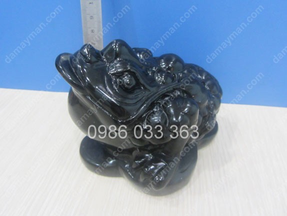 Thiềm Thừ Đá Đen 