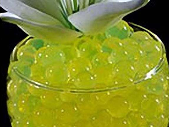 Hạt Dinh Dưỡng Trồng Cây, Đá May Mắn 