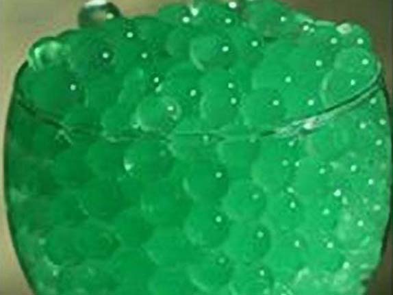 Hạt Dinh Dưỡng Trồng Cây, Đá May Mắn 
