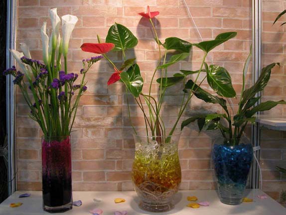 Hạt Dinh Dưỡng Trồng Cây, Đá May Mắn 